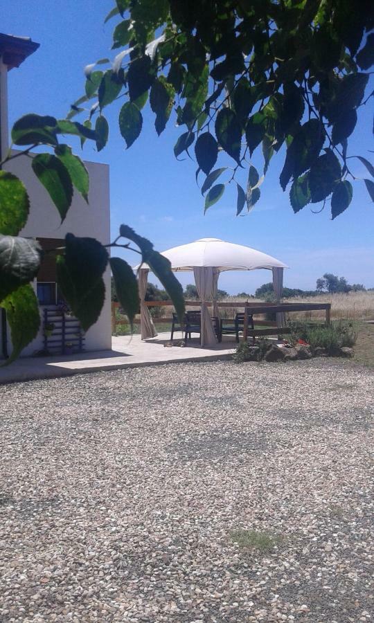 Alma Bed & Breakfast Sennariolo Exterior foto